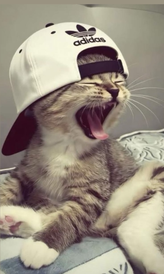 ɪsᴀʙᴇʟʟᴀღ᭄